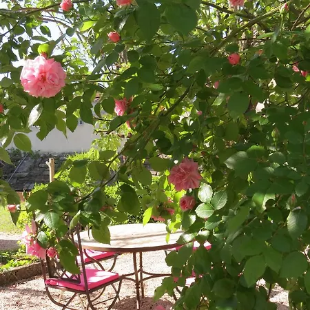 Le Jardin Bed & Breakfast *